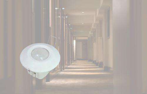 What is a Passive Infrared Sensor?