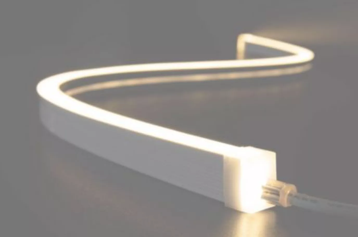 LED NEON FLEX Strips